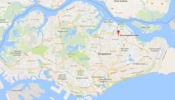 Blk 291A Compassvale Street (Sengkang), HDB 5 Rooms #142105022